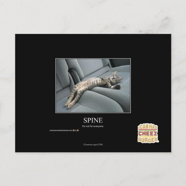 Spine Postcard (Front)
