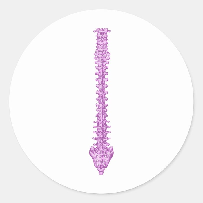 Spine Purple Stickers