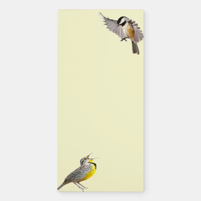 Spingtime Birds on Yellow Notepad (Front)