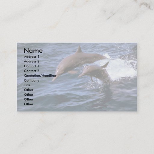Customizable Spinner dolphin business card