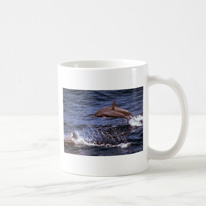 Spinner dolphin coffee mugs