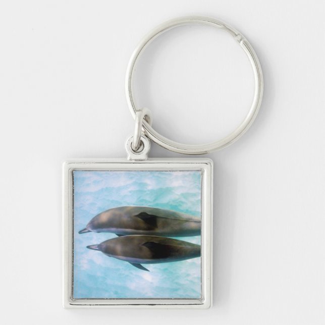 Spinner Dolphins | Oahu Hawaii Keychain (Front)