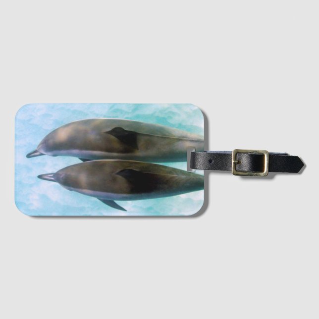 Spinner Dolphins | Oahu Hawaii Luggage Tag (Front Horizontal)