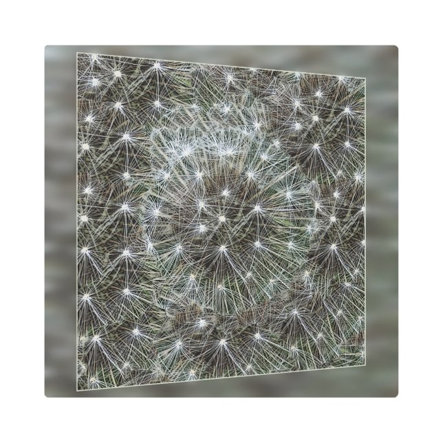 Spinning dandelion puff metal print (Front)