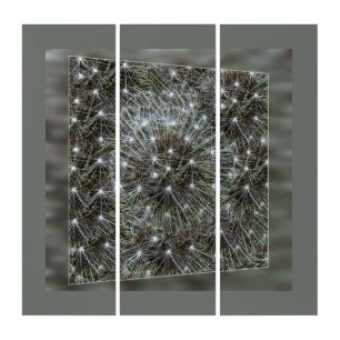 Spinning dandelion puff triptych