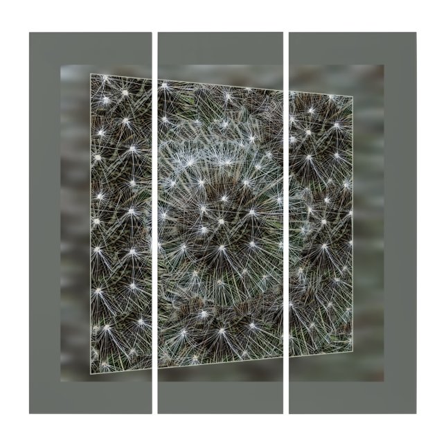 Spinning dandelion puff triptych (Front)