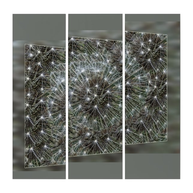 Spinning dandelion puff triptych (Front)