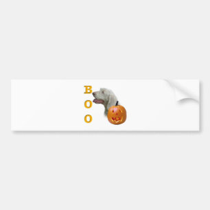 Spinone Italiano Boo Bumper Sticker
