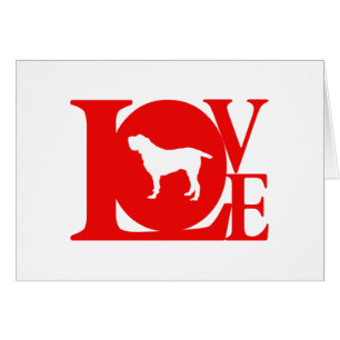 Spinone Italiano Cards