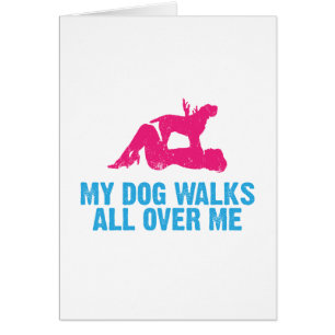 Spinone Italiano Cards