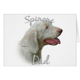 Spinone Italiano Dad 2 Cards