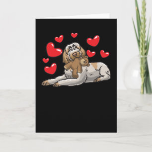 Spinone Italiano Dog With Stuffed Animal And Card