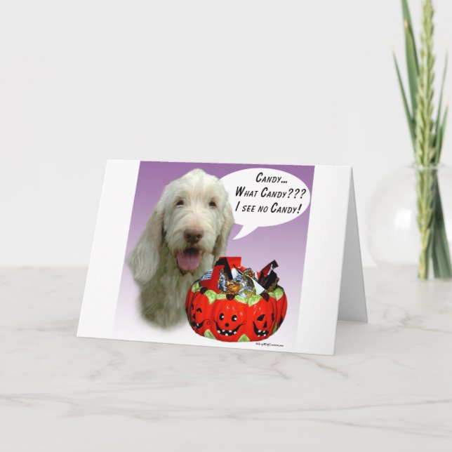 Spinone Italiano Halloween Candy Card (Front)