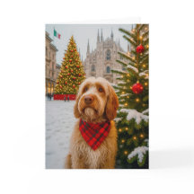 Spinone Italiano Holiday Card