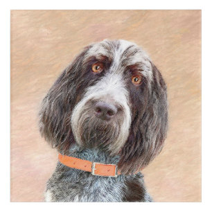 Spinone Italiano Painting - Cute Original Dog Art