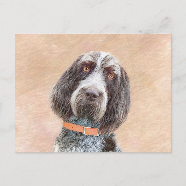 Spinone Italiano Painting - Cute Original Dog Art Postcard (Front)