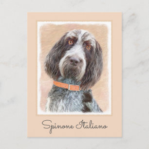 Spinone Italiano Painting - Cute Original Dog Art Postcard