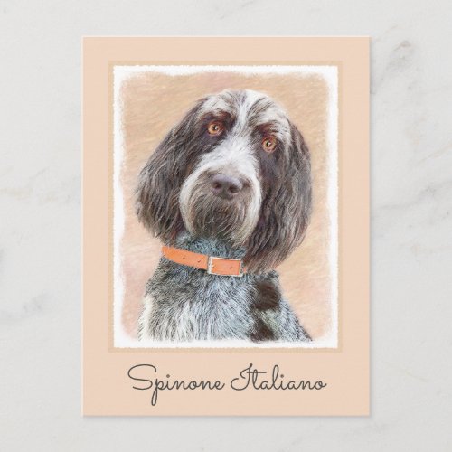 Spinone Italiano Painting _ Cute Original Dog Art Postcard