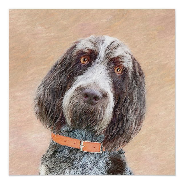 Spinone Italiano Painting - Cute Original Dog Art Poster (Front)