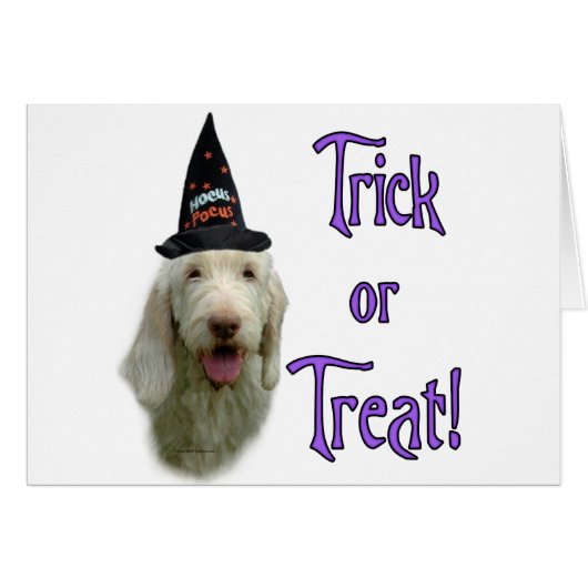 Spinone Italiano Trick Cards (Front Horizontal)
