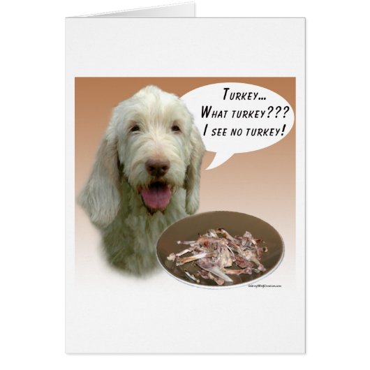 Spinone Italiano Turkey Cards (Front)