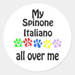 Spinone Italiano Walks Design Classic Round Sticker