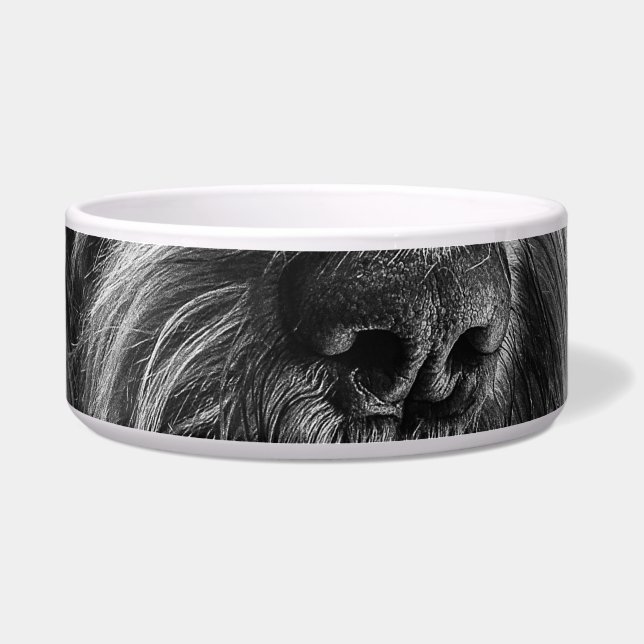 Spinone Supper Corner Bowl (Front)
