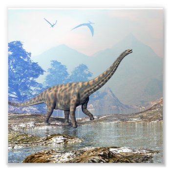 Spinophorosaurus Dinosaur - 3d Render Photo Print by Elenarts_PaleoArts at Zazzle