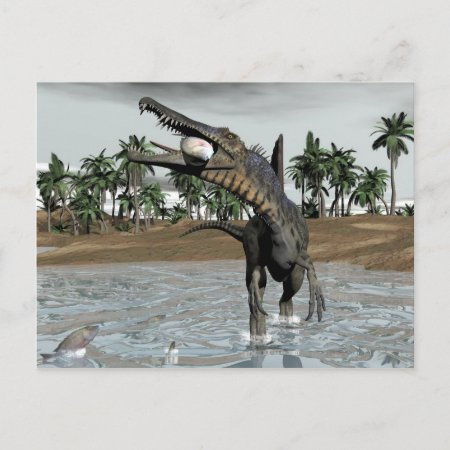 Spinosaurus Dinosaur Eating Fish - 3d Render Postcard