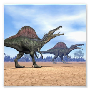 Spinosaurus dinosaurs walk - 3D render Photo Print