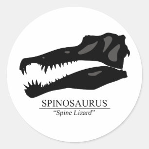 Spinosaurus Skull Classic Round Sticker