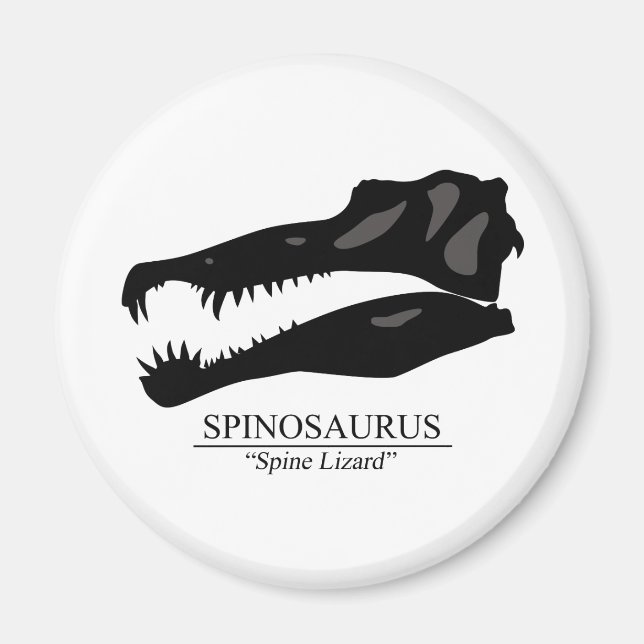 Spinosaurus Skull Magnet (Front)