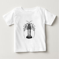 Spiny Lobster (California)