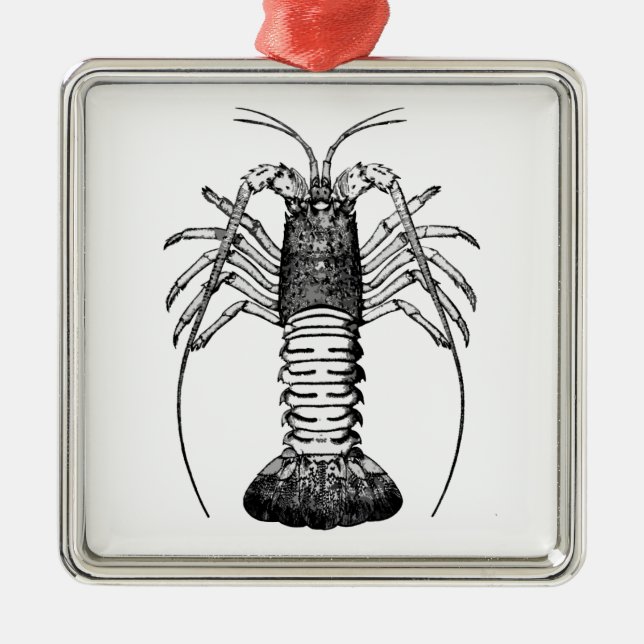 Spiny Lobster (California) Metal Ornament (Front)