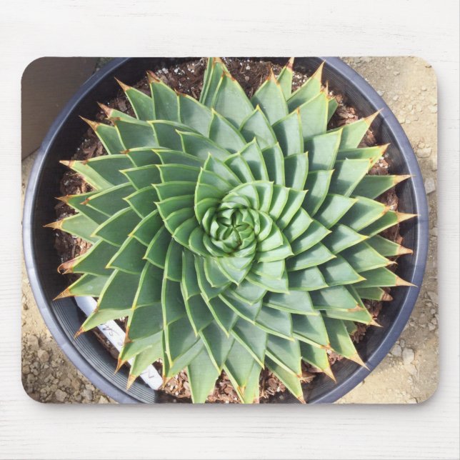Spiral Aloe Mousepad (Front)