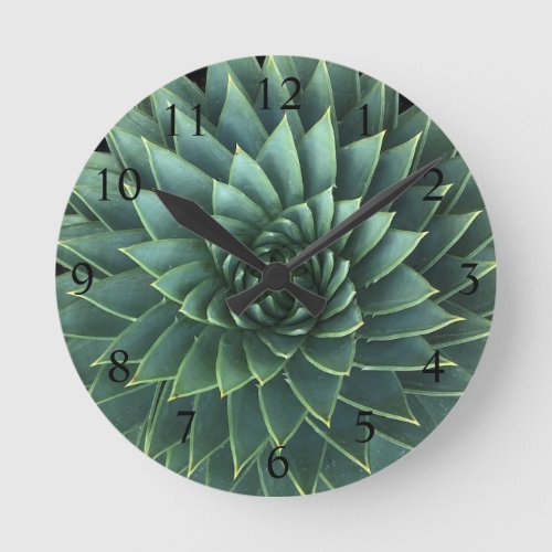 Spiral Aloe Polyphylla Succulent Round Clock