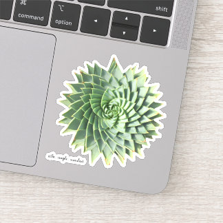 Spiral Aloe Polyphylla Succulents Sticker