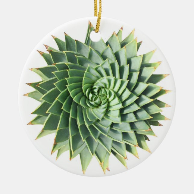 Spiral Aloe Succulent Ornament (Front)