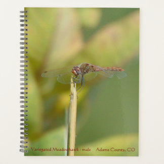 Spiral-bound Planner with Dragonfly Photo