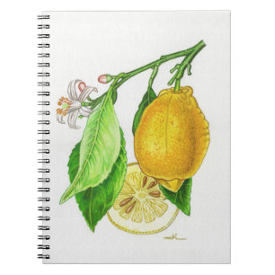 Spiral Citrus Notebook “Limonier ferraris”