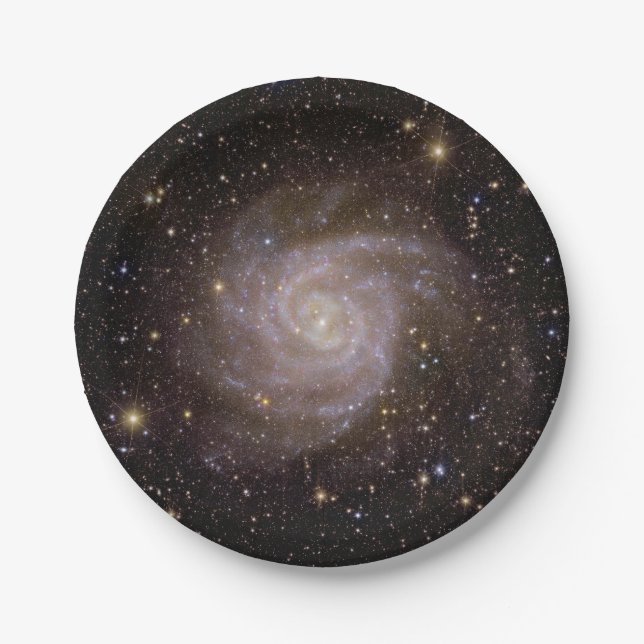 Spiral Galaxy IC 342 Paper Plates (Front)