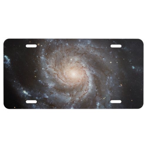 Spiral Galaxy M101 License Plate