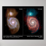 Spiral Galaxy M51   Whirlpool Galaxy Poster/Print Poster