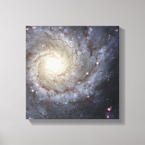 Spiral galaxy M74 Canvas Print