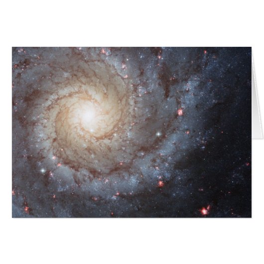 Spiral Galaxy M74 Cards (Front Horizontal)
