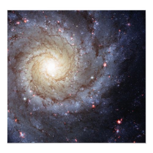 Spiral Galaxy M74 Hubble Photo Print