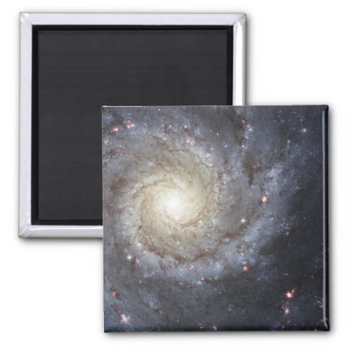 Spiral galaxy M74 Magnet