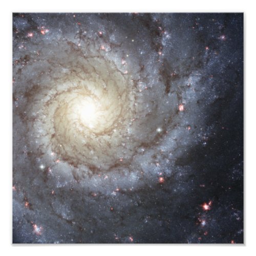 Spiral galaxy M74 Photo Print