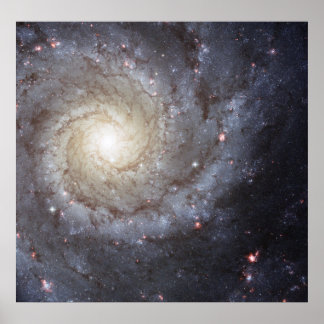 Spiral Galaxy M74 Poster