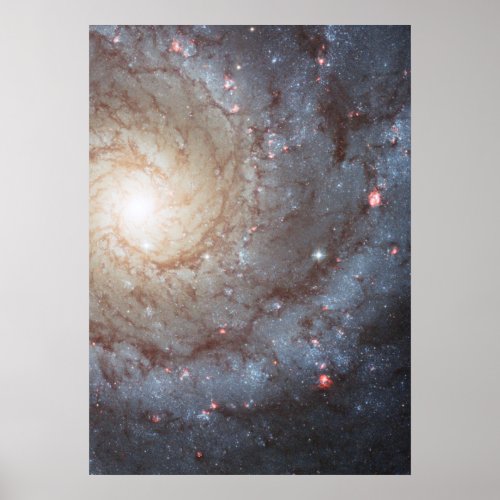 Spiral Galaxy M74 Poster